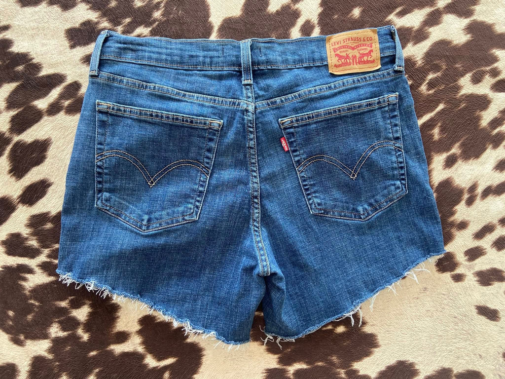 Pre-Loved Distressed Levi's Denim Shorts Size 30 - Deer Creek Mercantile