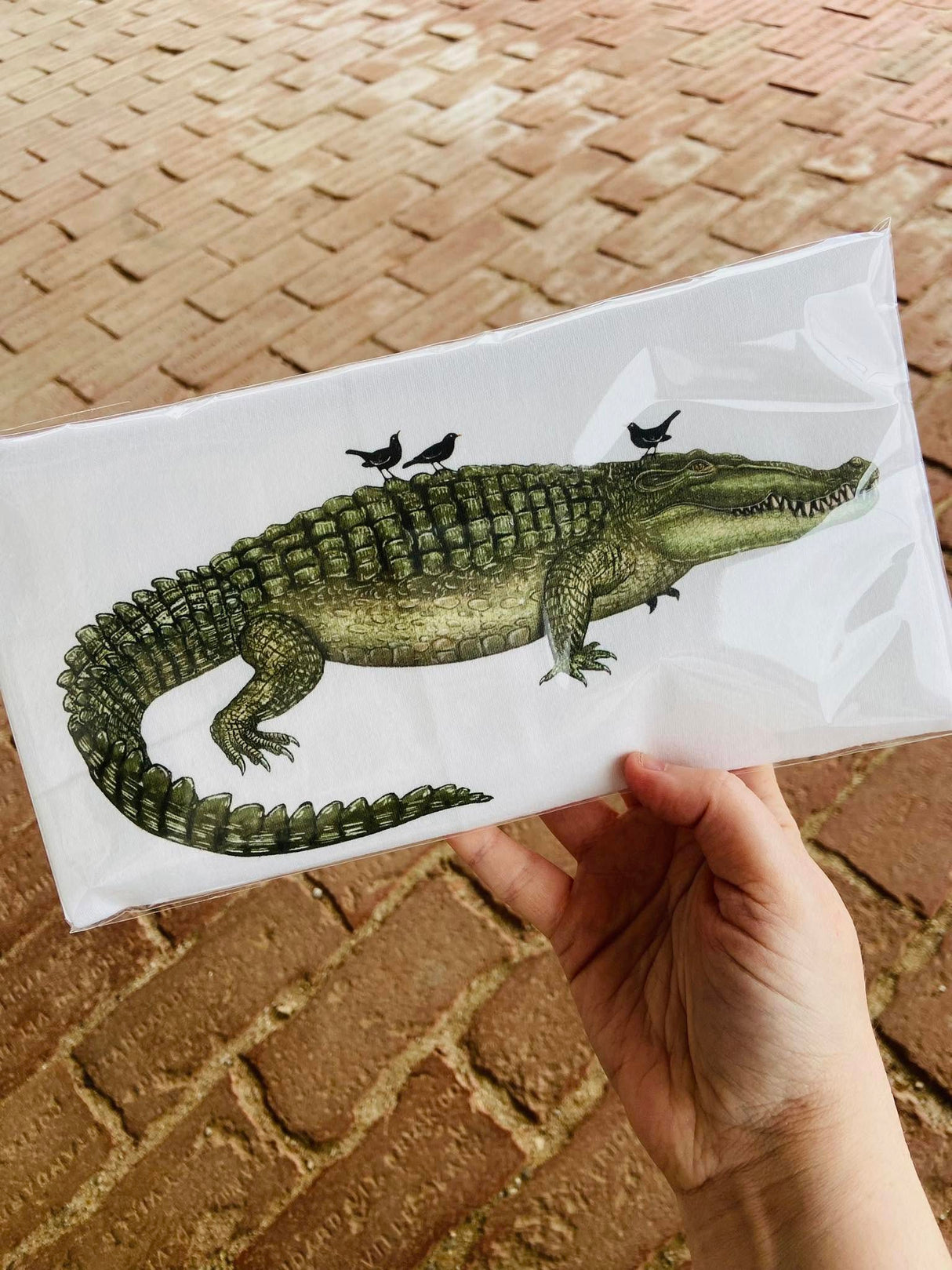 Alligator Dish Towel *MLT 2025