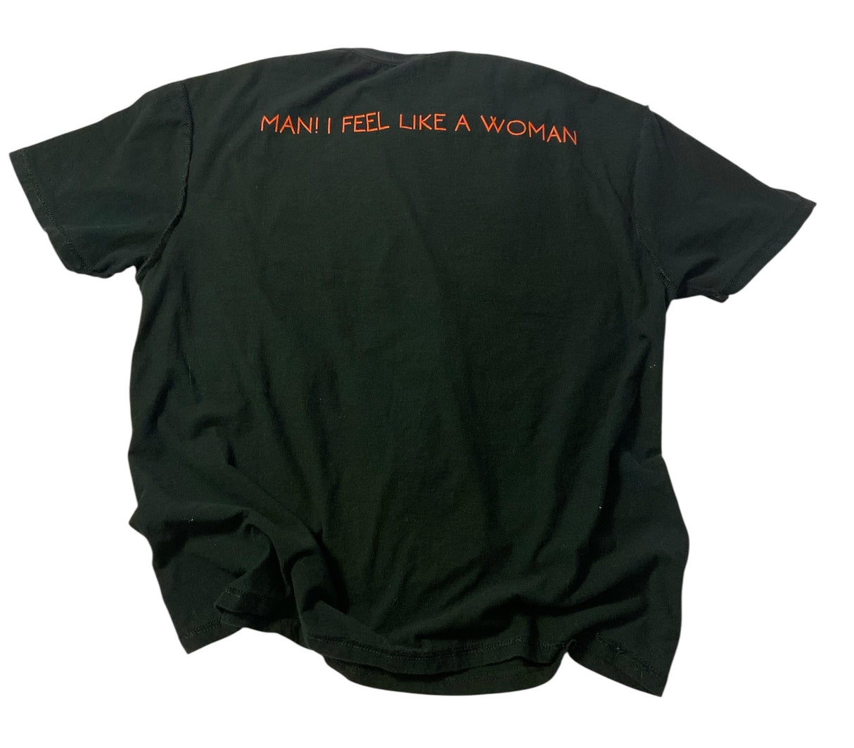 Pre-Loved Shania Twain Graphic Tee *Size XL - Deer Creek Mercantile