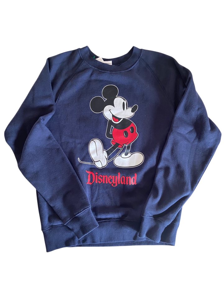 Pre-Loved Disneyland Mickey Sweatshirt *Size Small - Deer Creek Mercantile