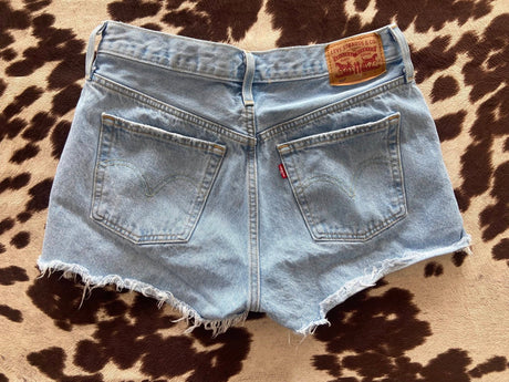 Pre-Loved Light Wash Levi's Denim Shorts Sz. 29 - Deer Creek Mercantile
